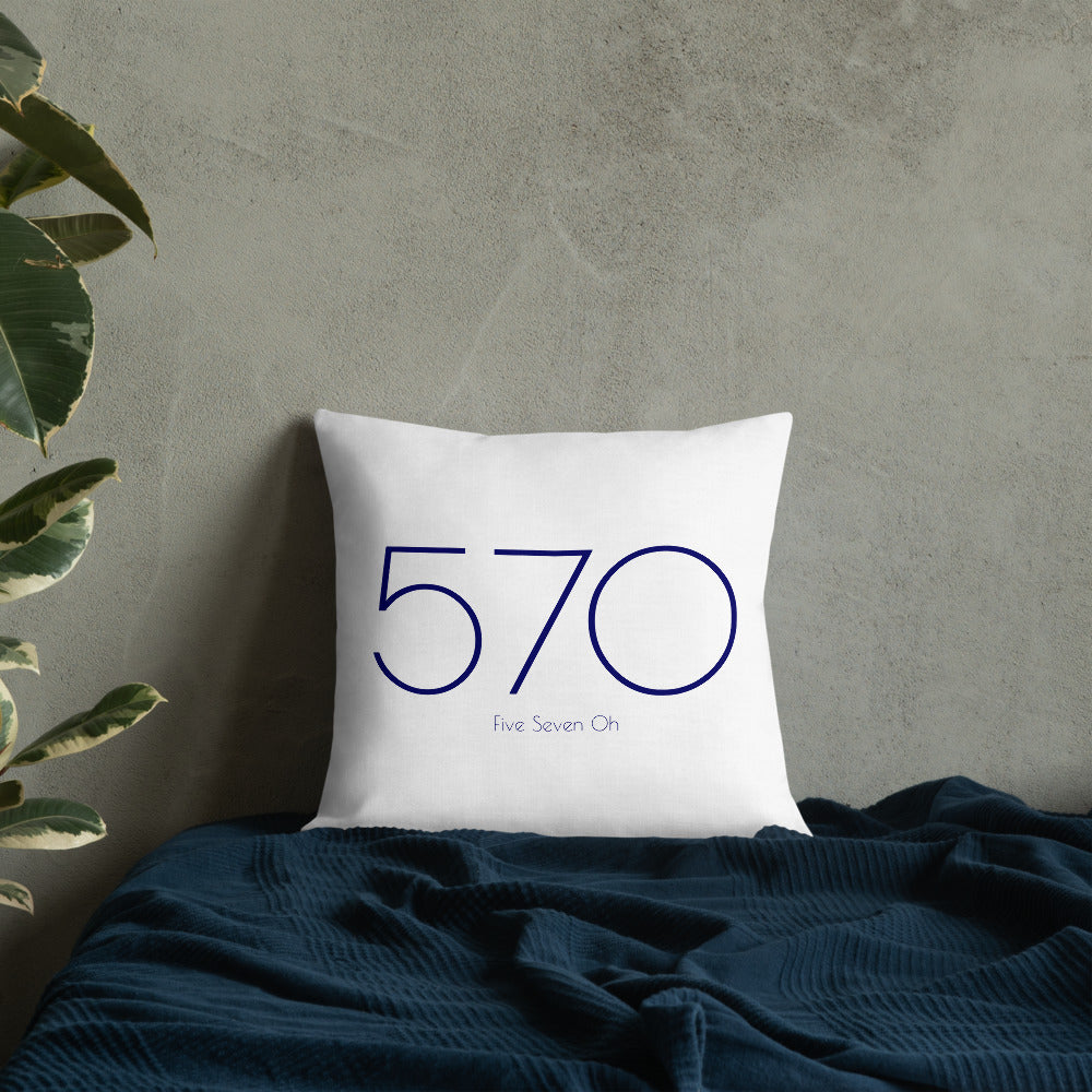 570 Pillow