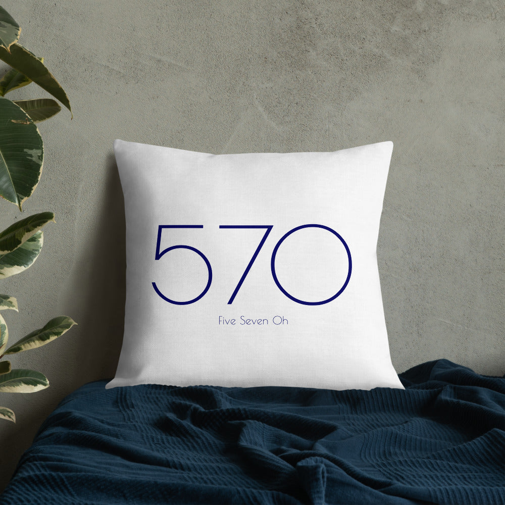 570 Pillow